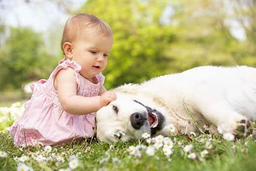 Niña pequeña con un vestido veraniego en un campo acariciando al perro de la familia