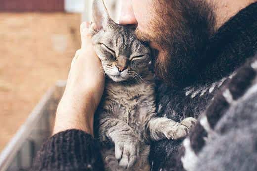 Hombre con barba abraza a un gato cerca de su cara.