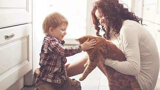 Una madre le presenta un gato naranja a un niño