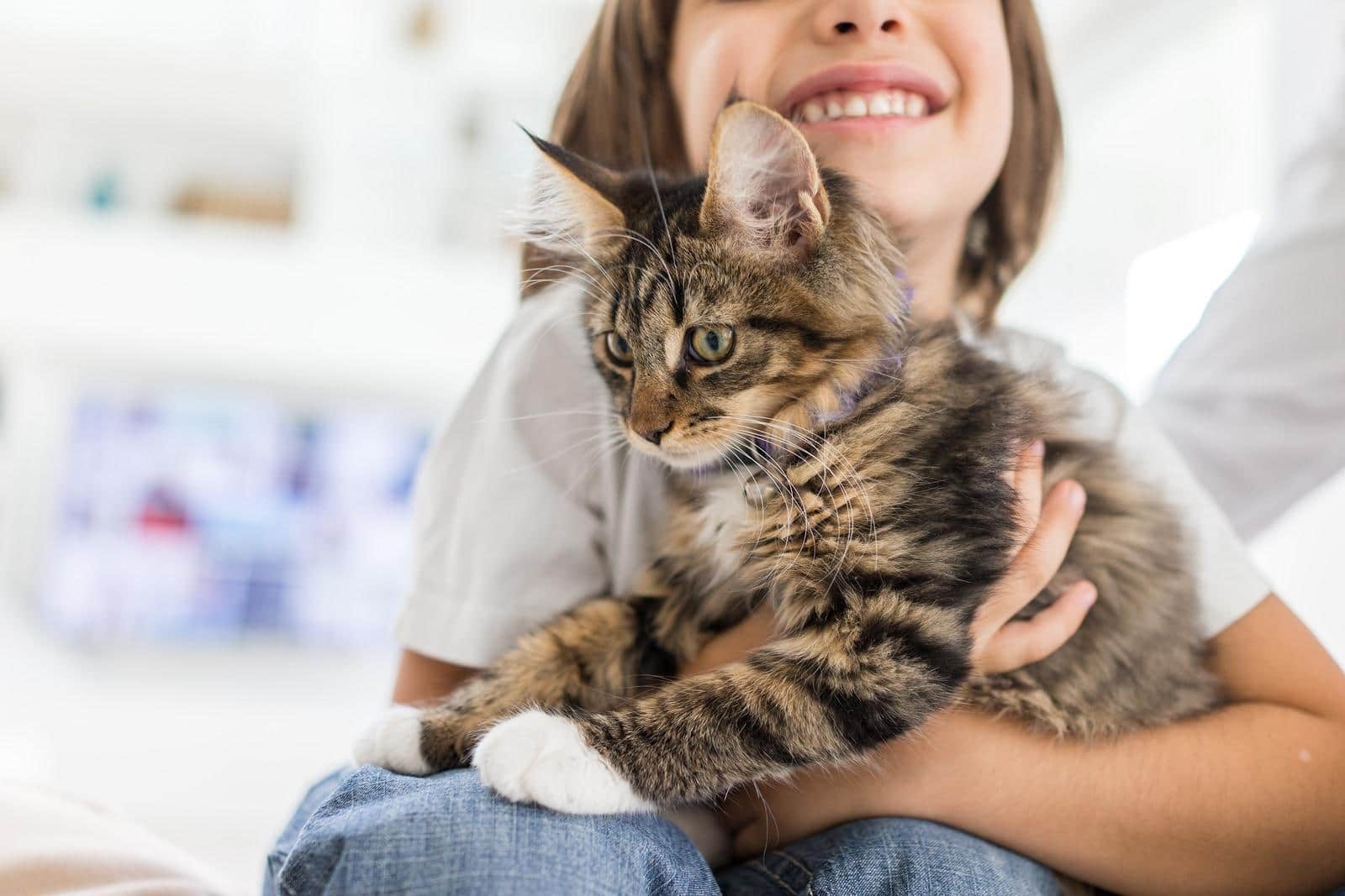 Niña sonriente jugando en casa con un gato con rayas