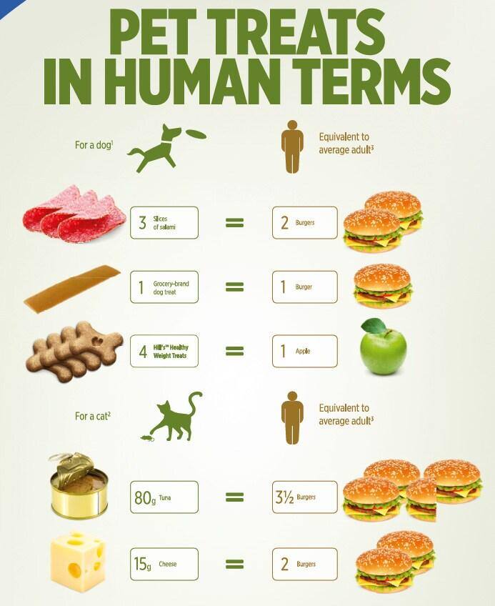 Equivalencias de alimentos
