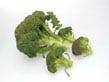 comida para mascotas brocoli
