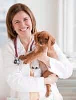 Neutering puppy