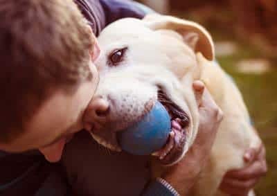 Un hombre abraza a un labrador amarillo con una bola azul en su boca.