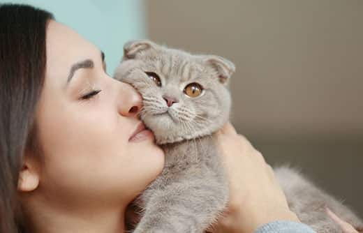 Mujer sosteniendo un gato Fold escocés contra su cara mientras lo abraza.