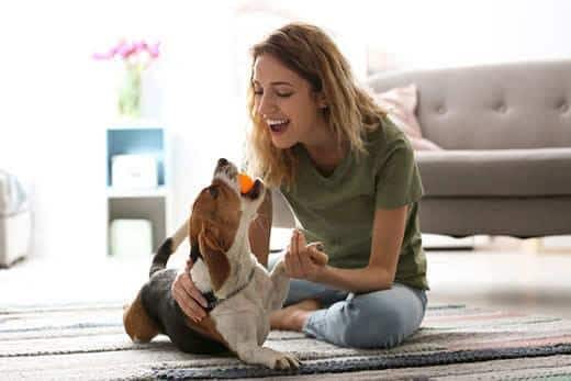 Mujer joven jugando con su perro en casa