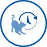 Icono de gato y reloj
