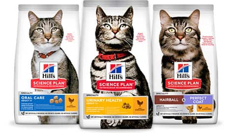 Alimentos para gato Science Plan Urinary, Oral y Hairball & Perfect Coat