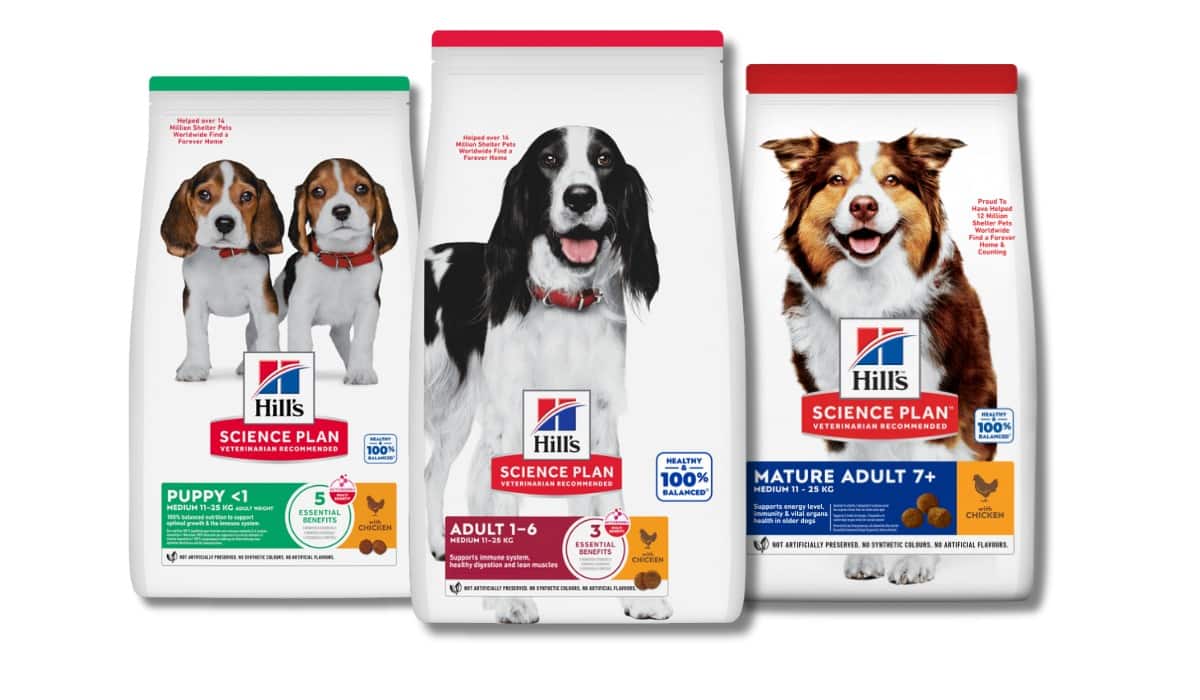 Alimentos para perros según la etapa de la vida