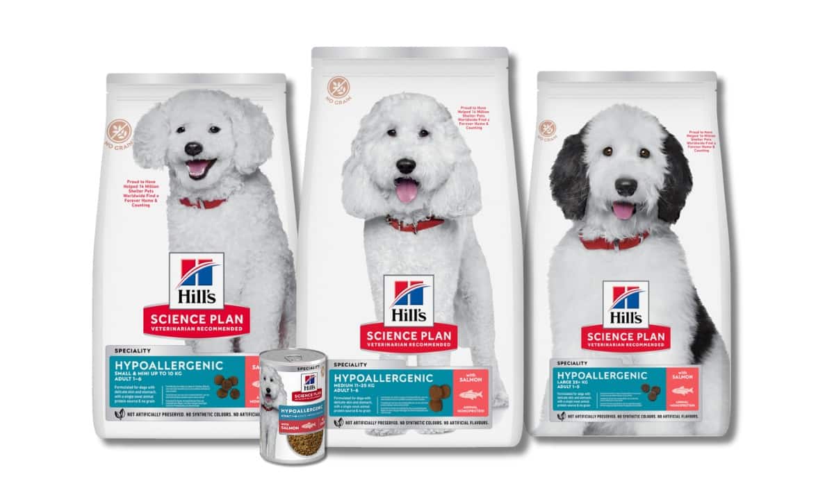 Alimentos para perros sin maíz, trigo ni soja