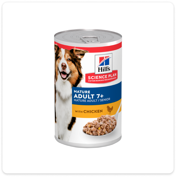 Envase de Hill's Science Plan Senior alimento húmedo para perros
