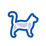 blue cat icon