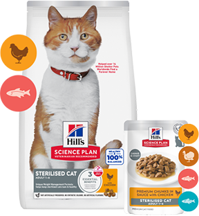 For young adult sterilised Science Plan cat food pack