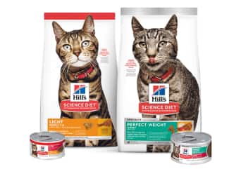 Alimento para gato Science Light y Perfect Weight