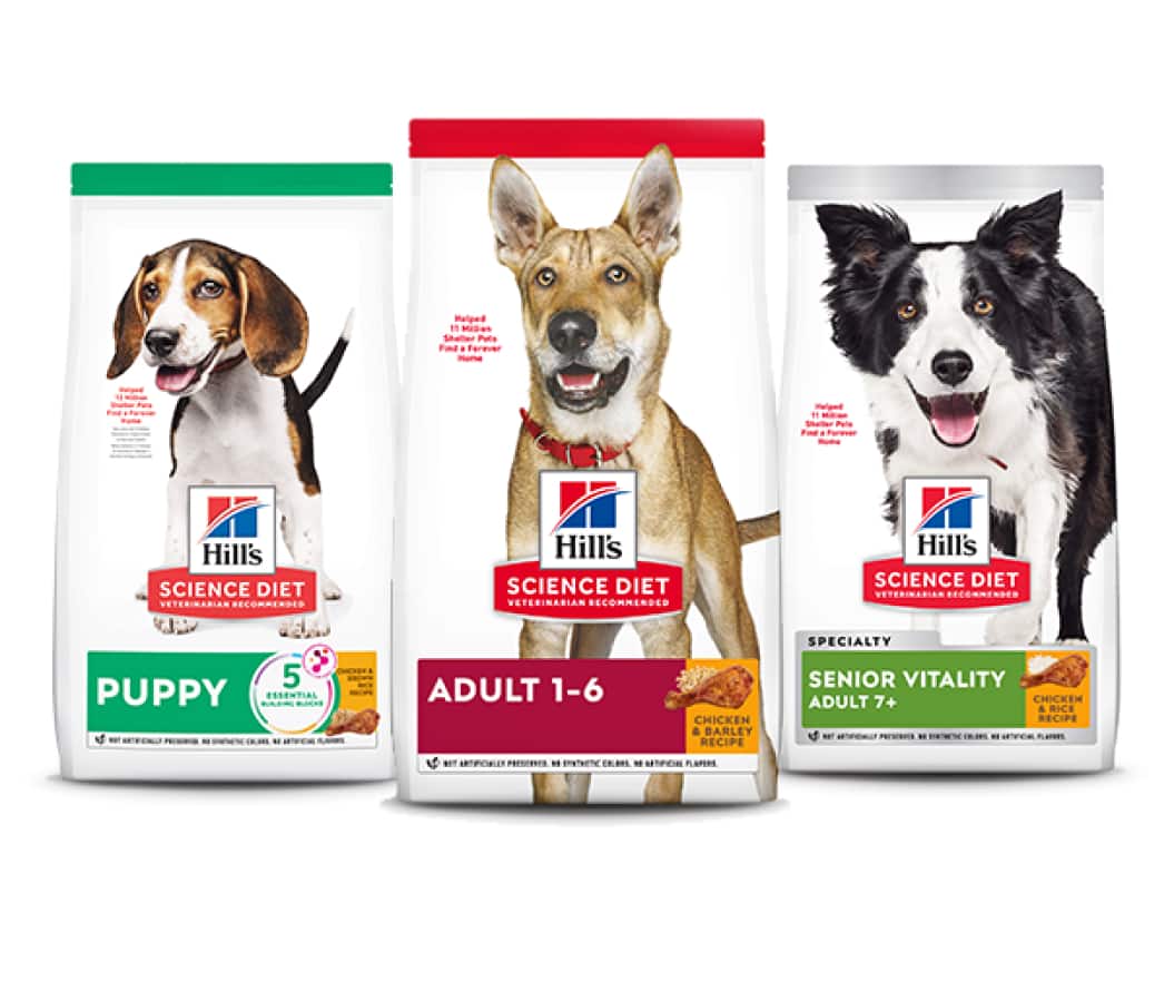 Alimentos para perros según la etapa de la vida