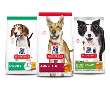 Alimentos para perros según la etapa de la vida