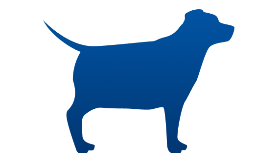 Perro gordo