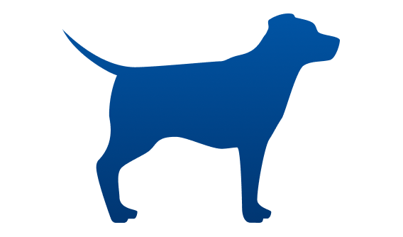 peso ideal perro