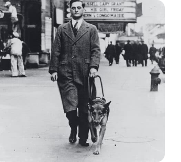  Morris Frank paseando a su perro Buddy