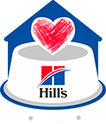 Logo programa food, shelter and love