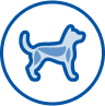 Perro