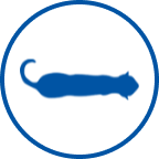  Icono de gato sano