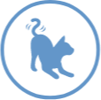Icono de gato activo