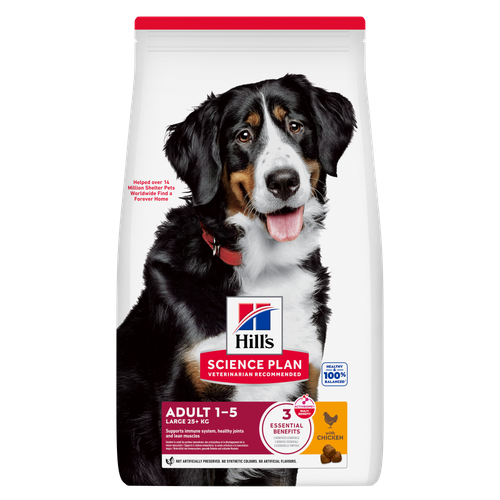 alimento para perros adultos de razas grandes Packshot