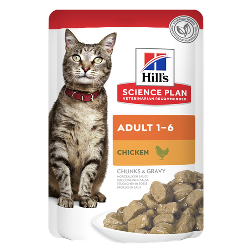 alimento húmedo para gatos adultos Packshot