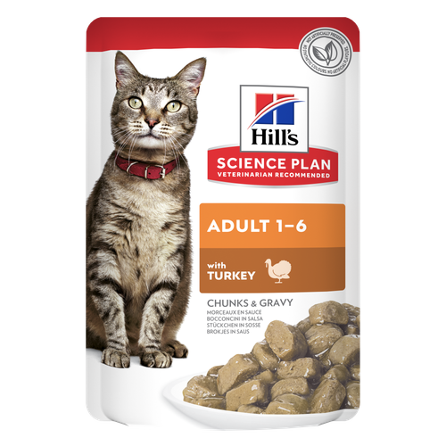 alimento húmedo para gatos adultos Packshot